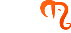 group 17